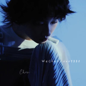 视频在线观看一区
