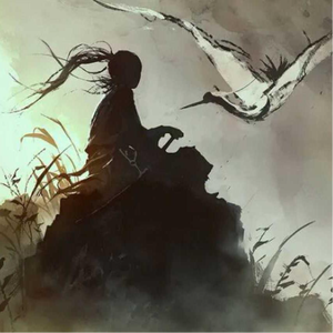 视频在线观看一区
