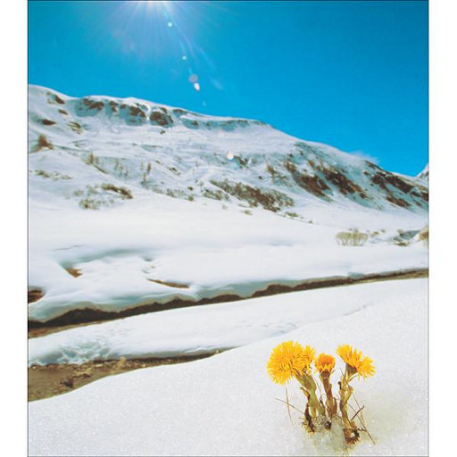 视频在线观看一区
