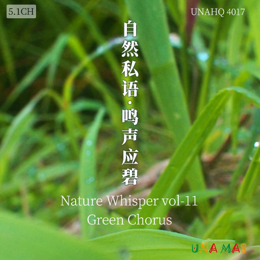 视频在线观看一区
